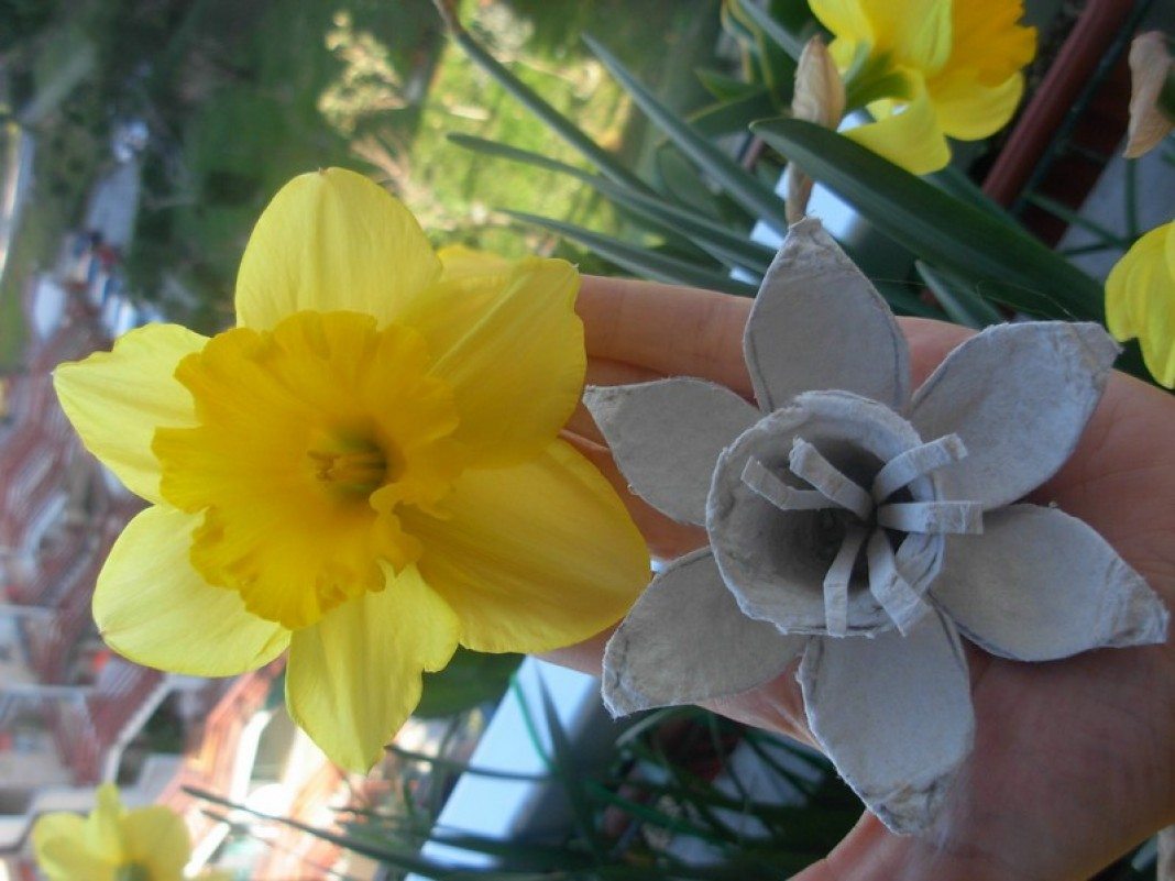 Make This Egg Carton Daffodils In 4 Creative Steps