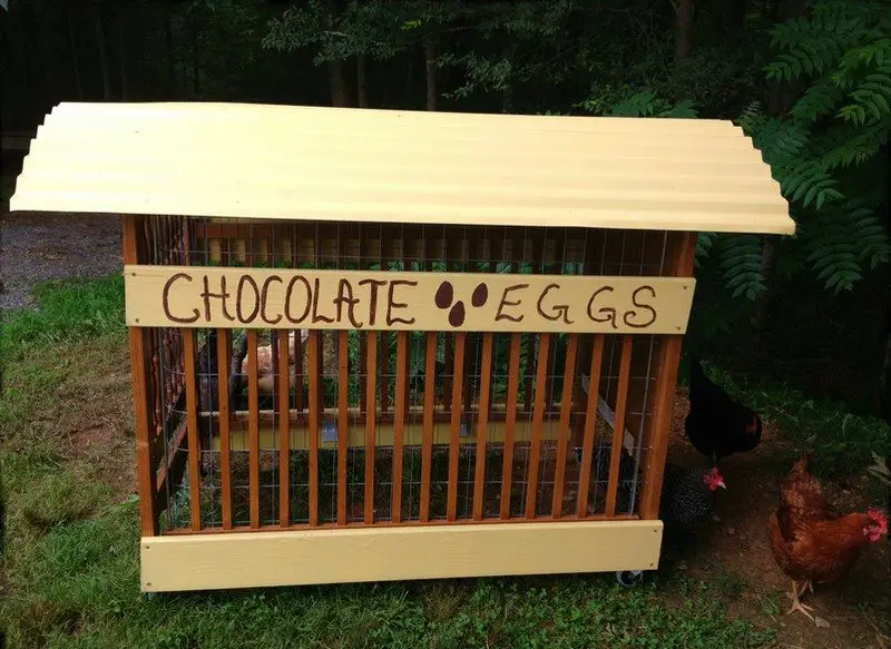 A mobile home for your chickens (from HomesteadRedHead)