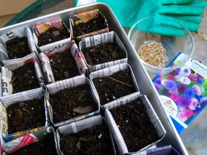 Biodegradable Newspaper Seedling Pot Samples