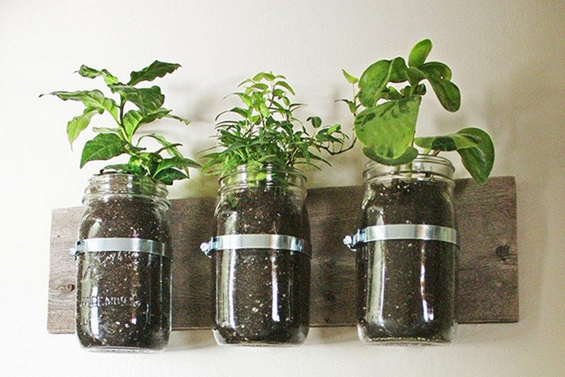 Mason Jar Ideas