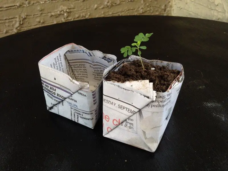 How to make paper seedling pots