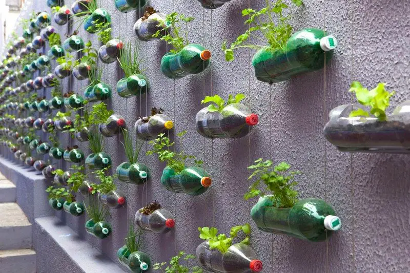 Upcycled Plastic Bottles