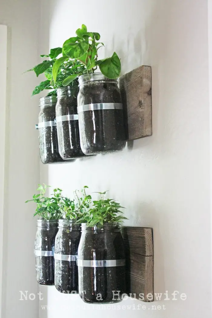 Mason Jar Herb Planter