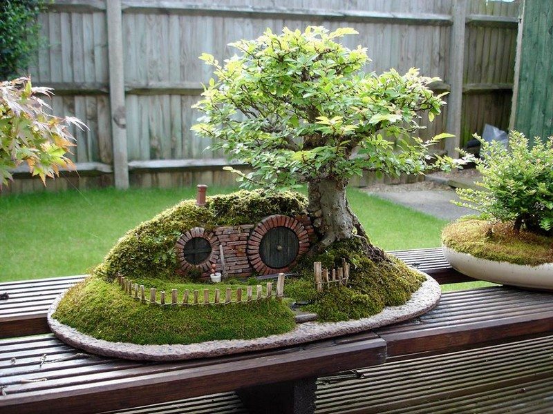 fairy-gardens-3