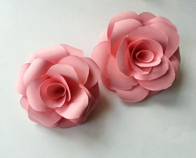 Adorable Diy Paper Flowers 5 Steps Craft Projects For Every Fan