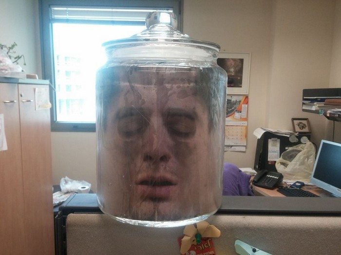 Head in a jar! Craft projects for every fan!
