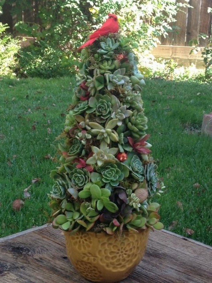 Succulent Christmas Tree Craft projects for every fan!