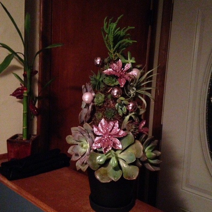 Succulent Christmas Tree