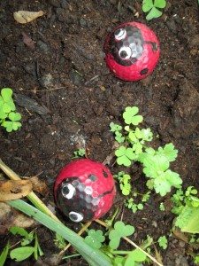 Golf Ball Ladybugs