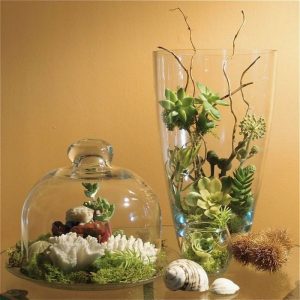 Cute Terrariums