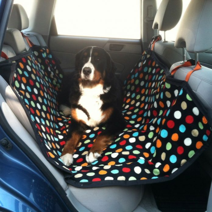 How to Make an Excellent Dog Hammock for Your Car: 6 Steps - Craft