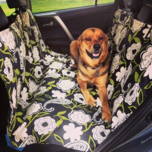 Dog Car Hammock