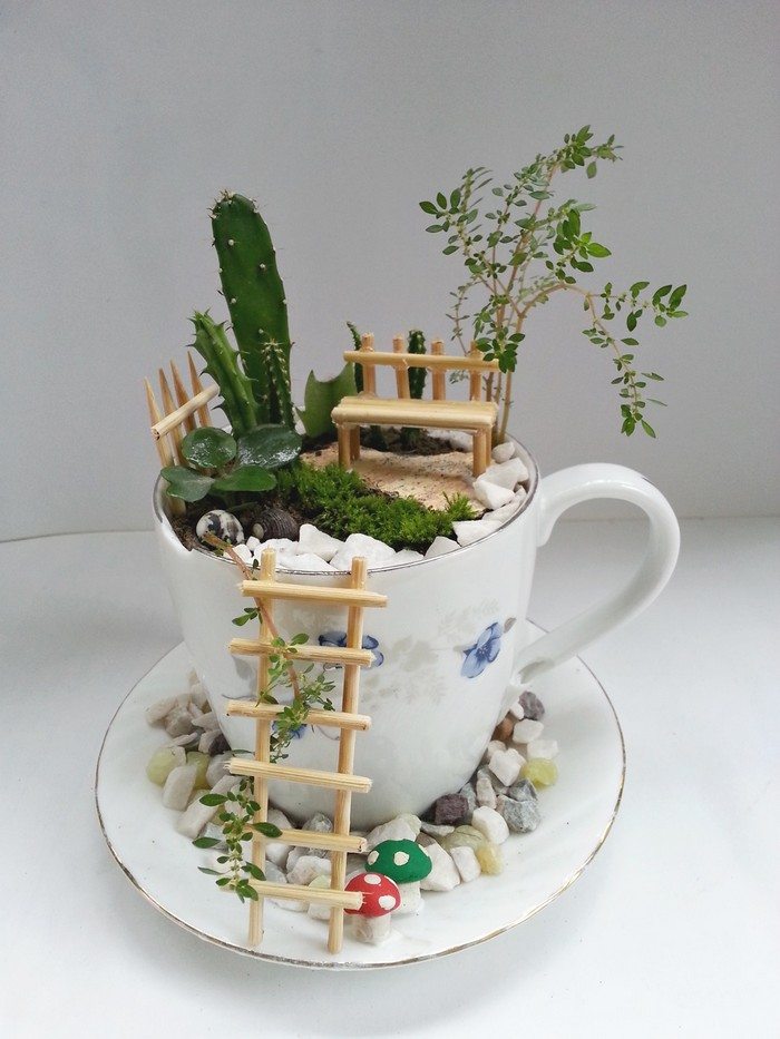 Teacup Fairy Garden