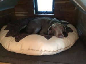 Donut Dog Bed