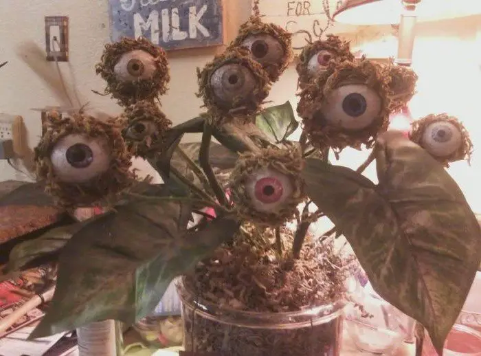 Monster Plants