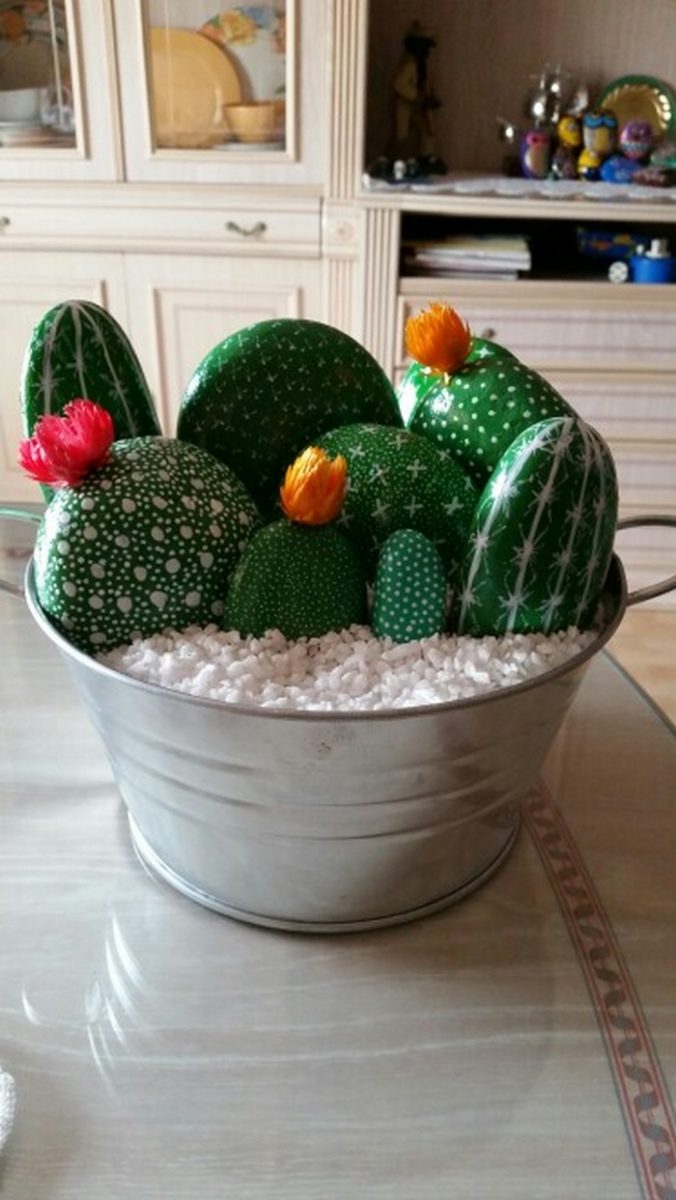 Cactus Rocks