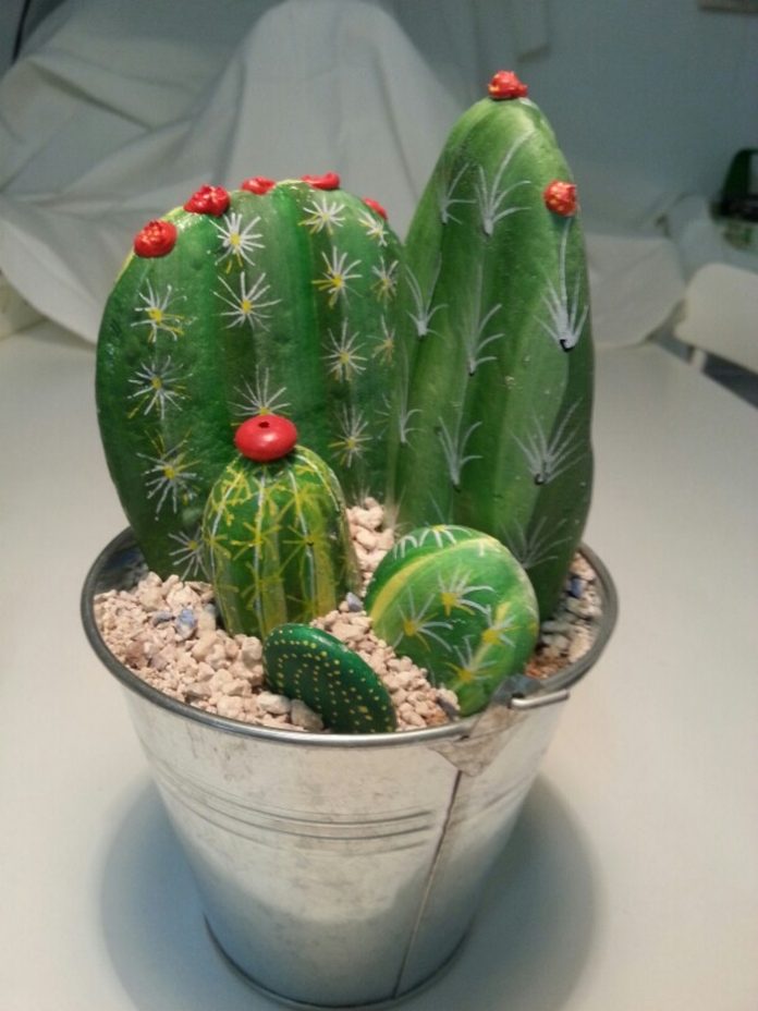 How to Make Cactus Rocks: 6 Easy Steps