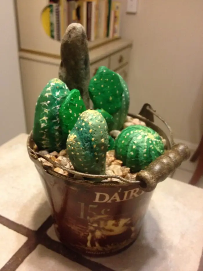 Cactus Rocks
