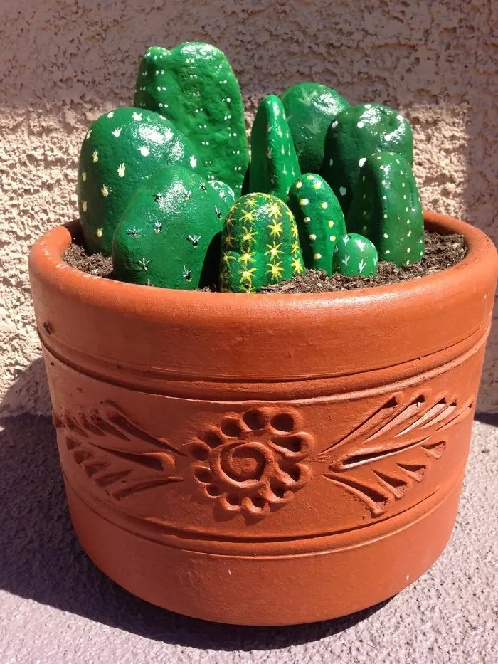 Cactus Rocks