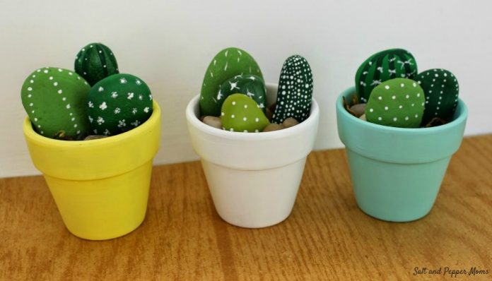 How to Make Cactus Rocks: 6 Easy Steps