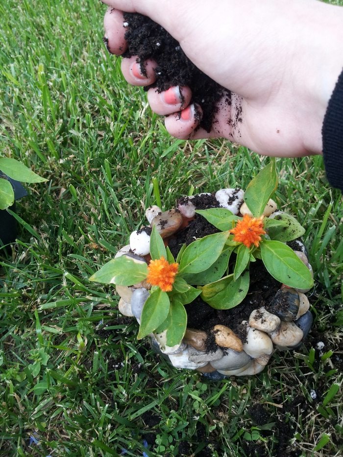 Pebble Planters