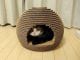 Make a Cardboard Igloo For Your Cat in 7 Effective Steps – Craft