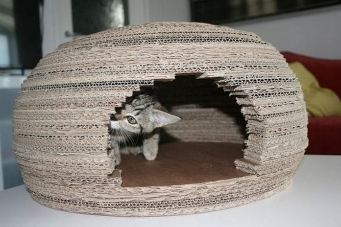 Make a Cardboard Igloo For Your Cat in 7 Effective Steps – Craft