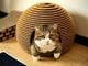 Make a Cardboard Igloo For Your Cat in 7 Effective Steps – Craft