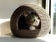 Make a Cardboard Igloo For Your Cat in 7 Effective Steps – Craft