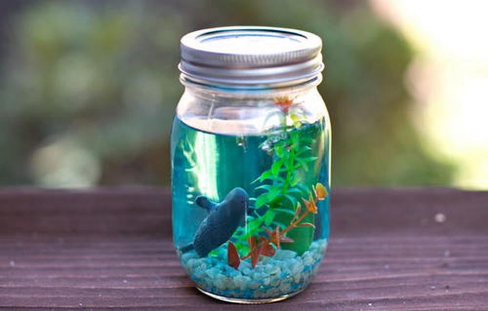 Beautiful Aquarium Jar in 6 Quick Steps! – Craft projects for every fan!