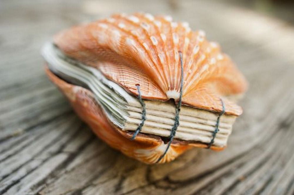 Adorable DIY Seashell Book: 4 Easy Steps - Craft projects for