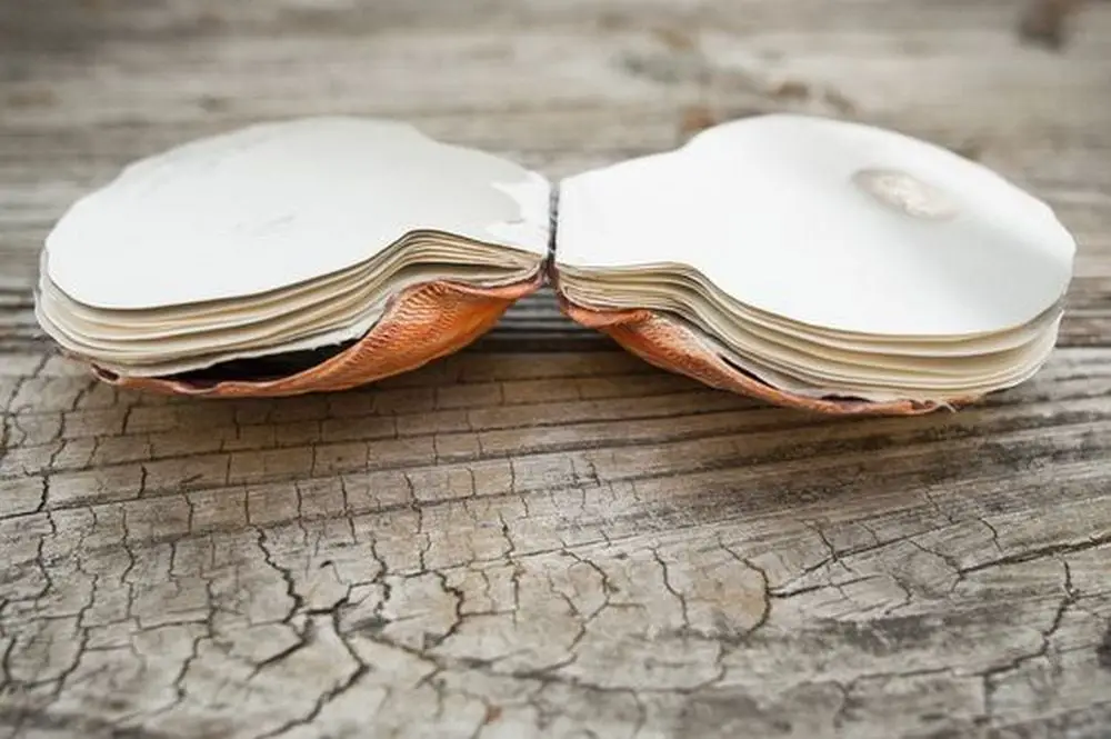 Give the old, boring scrapbook an upgrade with this seashell book.