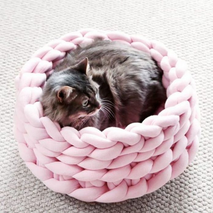 Comfy DIY Braid Pet Bed: 5 Easy Steps