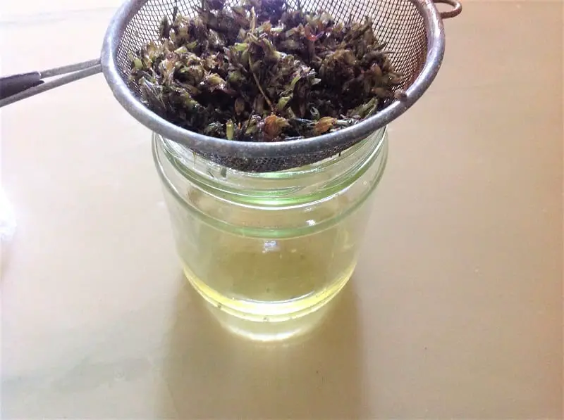 Use a sterilized wire sifter sieve to strain the oil over a jar. 