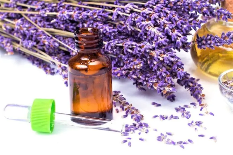 Make your own lavender oil. Here's how.