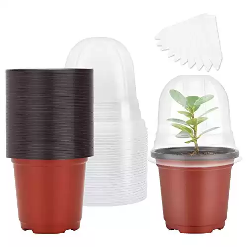 Plant Nursery Pots with Humidity Dome 4" Soft Transparent Plastic Gardening Pot