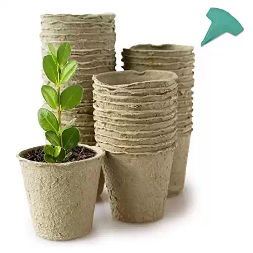 60 Packs 3 Inch Peat Pots Plant Starters for Seedling with 15 Pcs