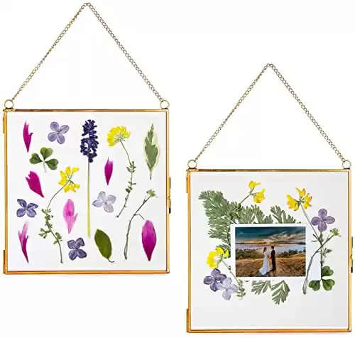 Hanging Glass Frame for Pressed Flowers, Leaf and Artwork