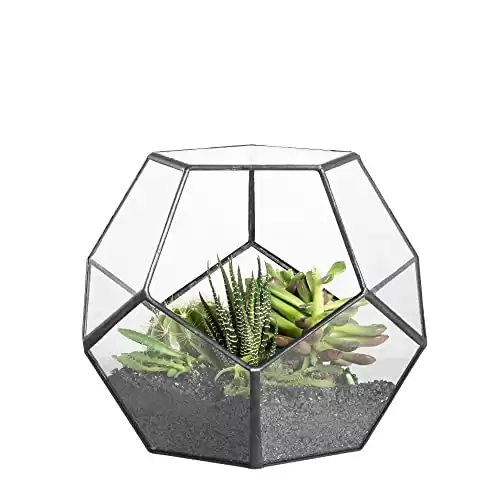 Black Glass Geometric Terrarium Planter