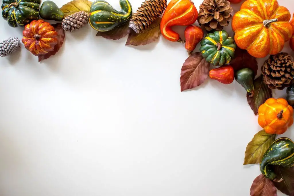A wonderful fall theme with orange, green, yellow, and other colors.