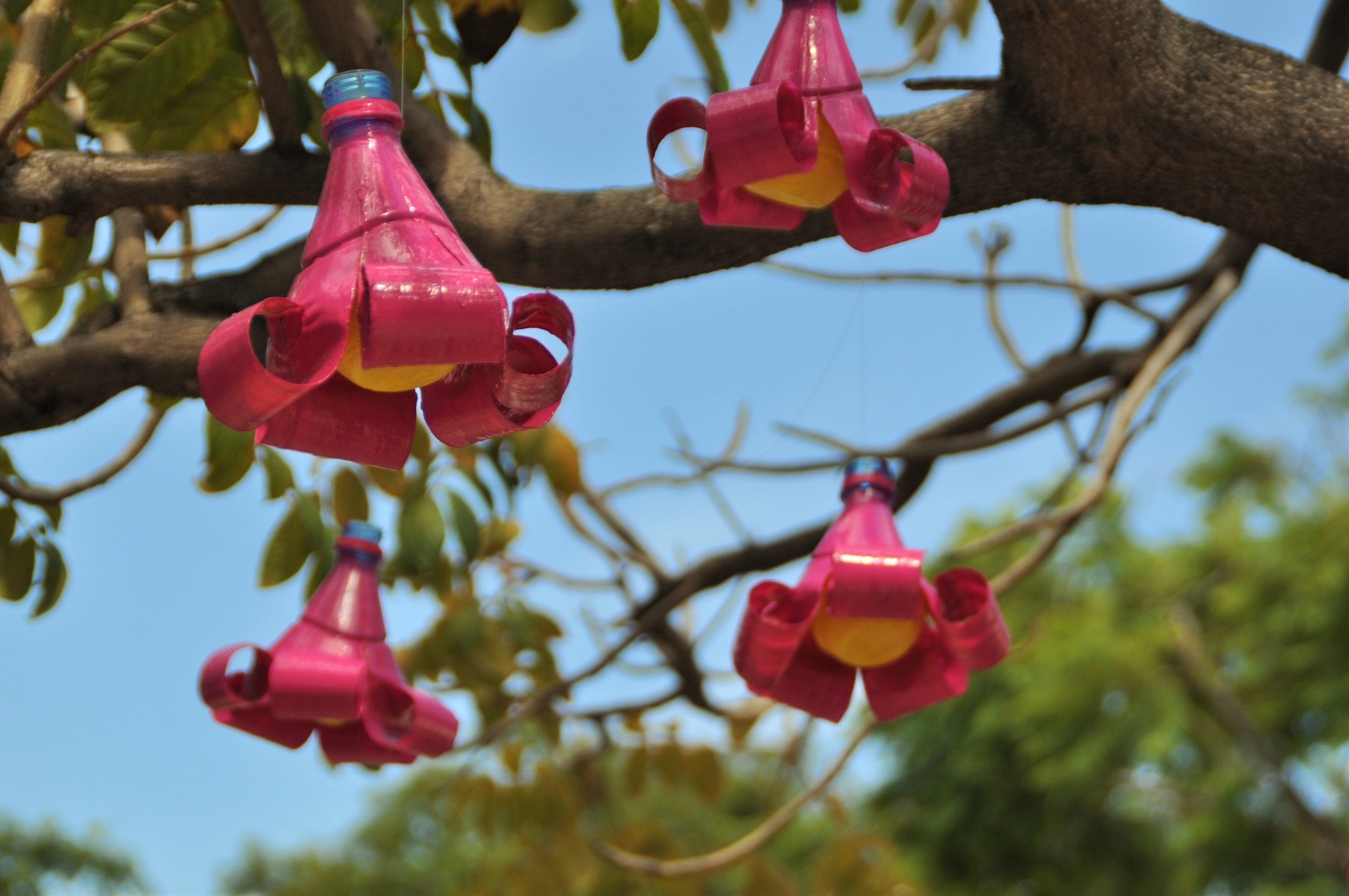 Foam Flowers - Pointed Petal — Articulture Designs