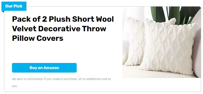 Pack of 2 Plush Short Wool Velvet Decorative Throw Pillow Covers
