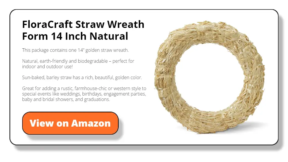 FloraCraft Straw Wreath Form 14 Inch Natural