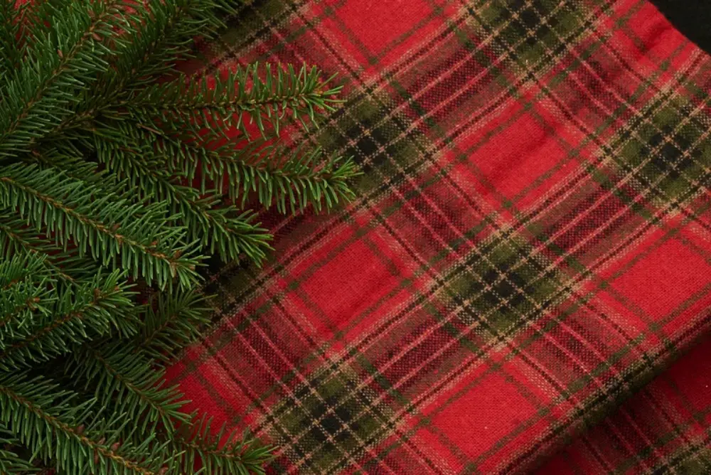 An image of a fabric material with holiday colors.