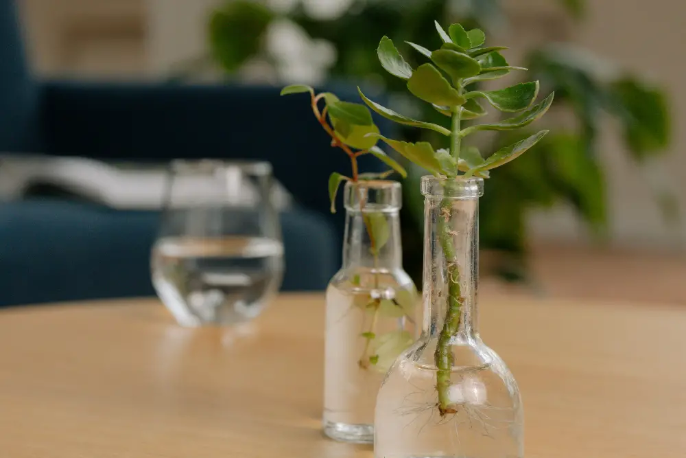 An image of a wine bottle planter.