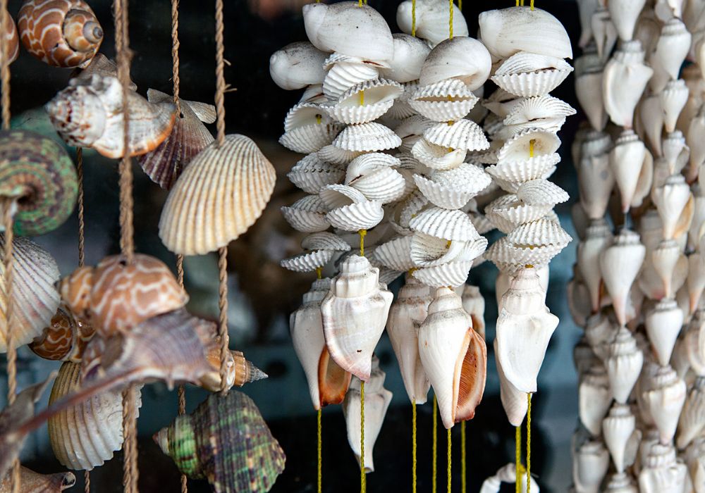 An image of seashell crafts.