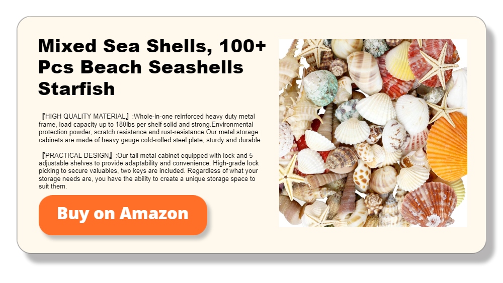 Mixed Sea Shells, 100+ Pcs Beach Seashells Starfish