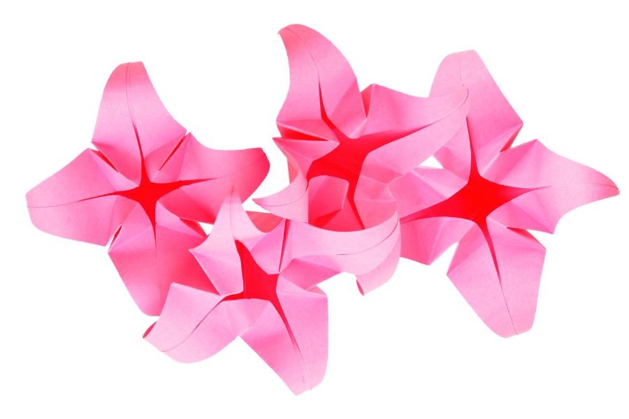 An image of pink origami lily pads